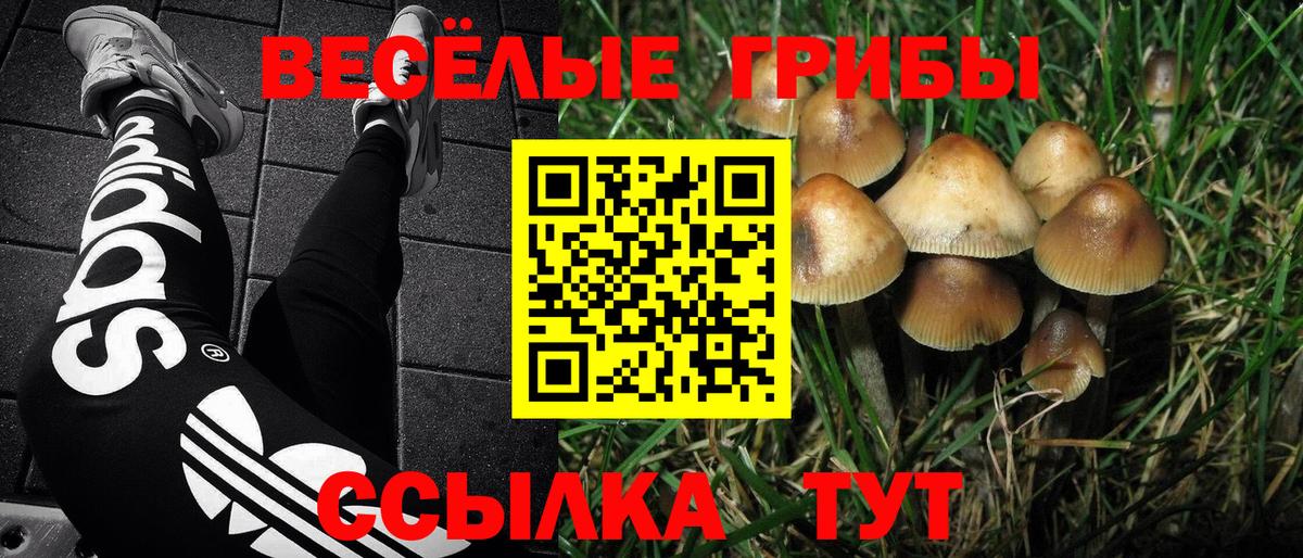 Холмск  Галлюциногенные грибы мицелий  Вход с VPN 