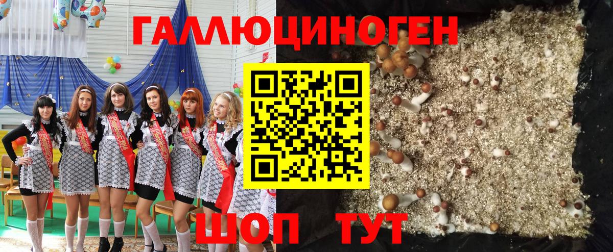 Псилоцибиновые грибы GOLDEN TEACHER Холмск